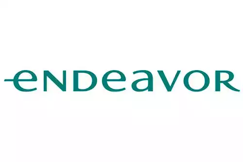 advice-endeavor
